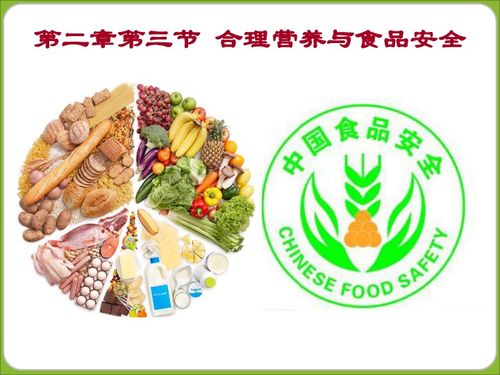 合理營養(yǎng)與食品安全
